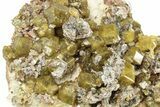 Yellow Andradite-Grossular Garnet Cluster with Clinochlore - Mali #242500-2